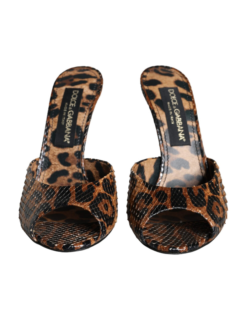 Dolce & Gabbana Brown Leopard Leather Slides Heels Sandals Shoes