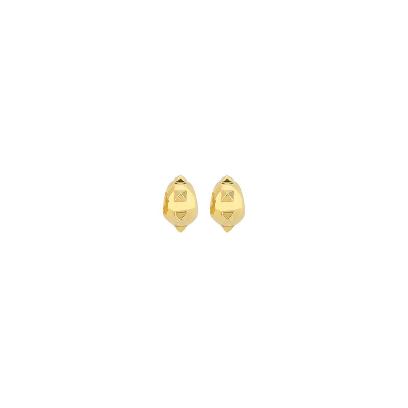 Valentino Garavani Earrings